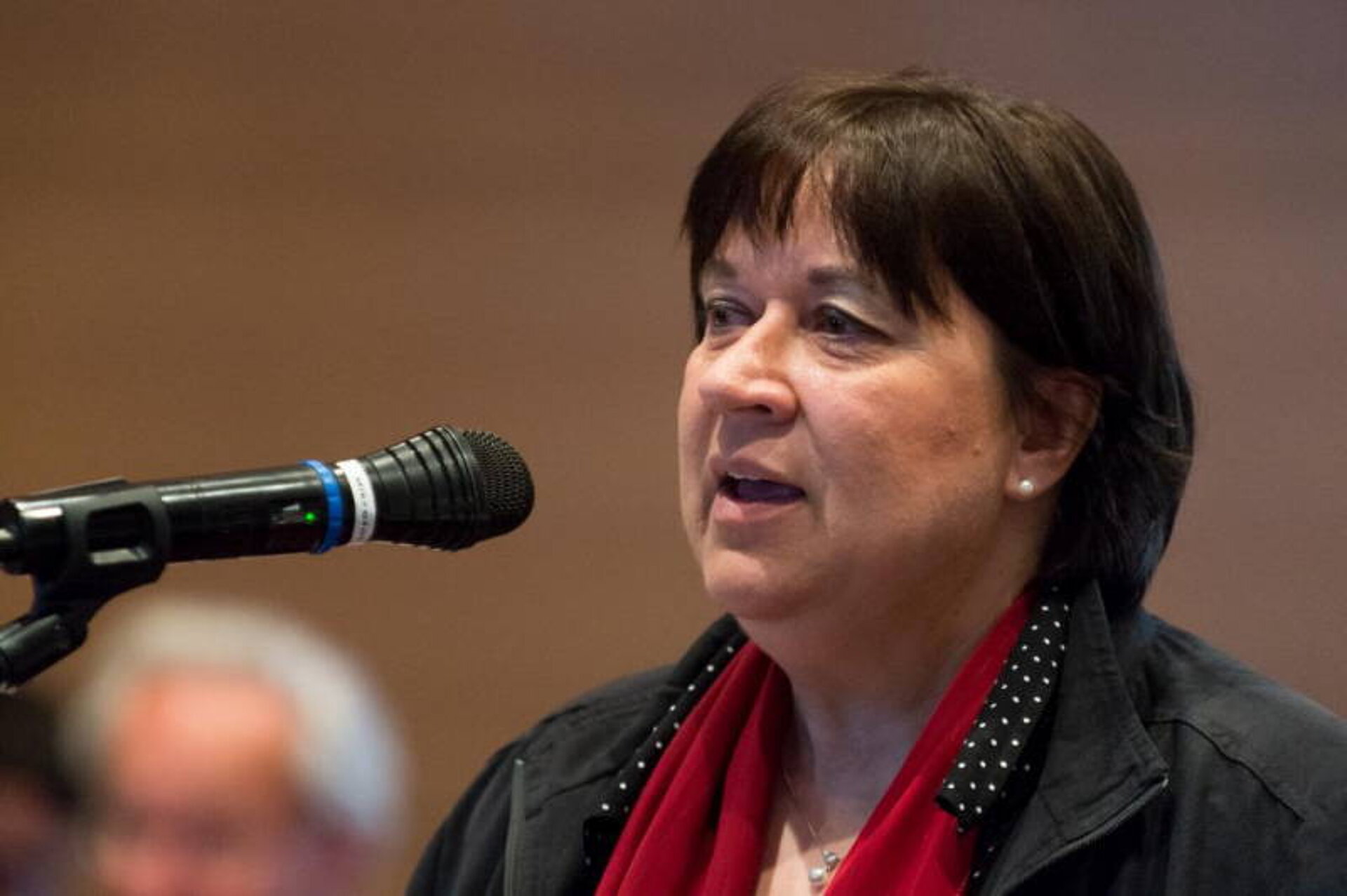 Dipl.-Med. Angelika von Schütz, Vorsitzende Landesgruppe Mecklenburg-Vorpommern (© Pietschmann)